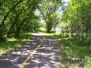 Wooded turn on Paul Douglas Trail